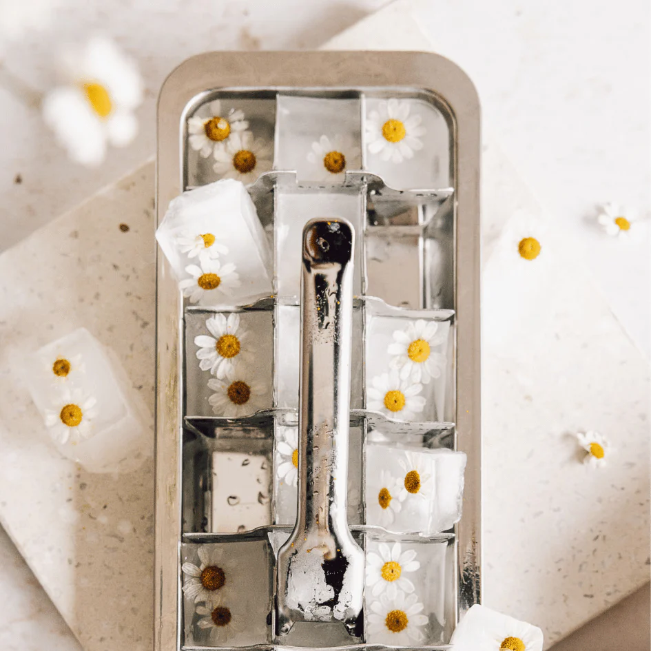 Eiswürfelform | Edelstahl - Image 4