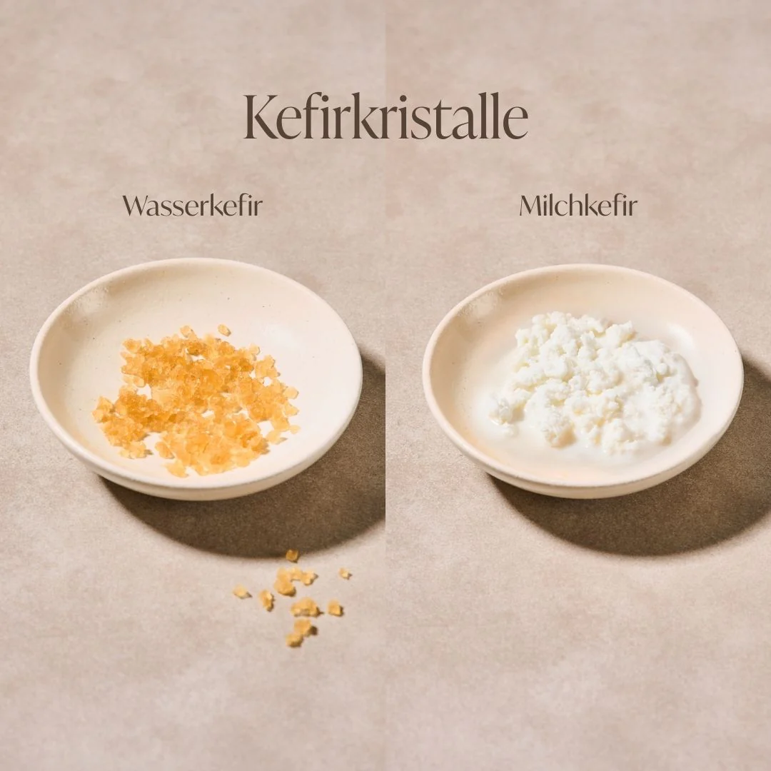 Kefir Starter Set - Image 5