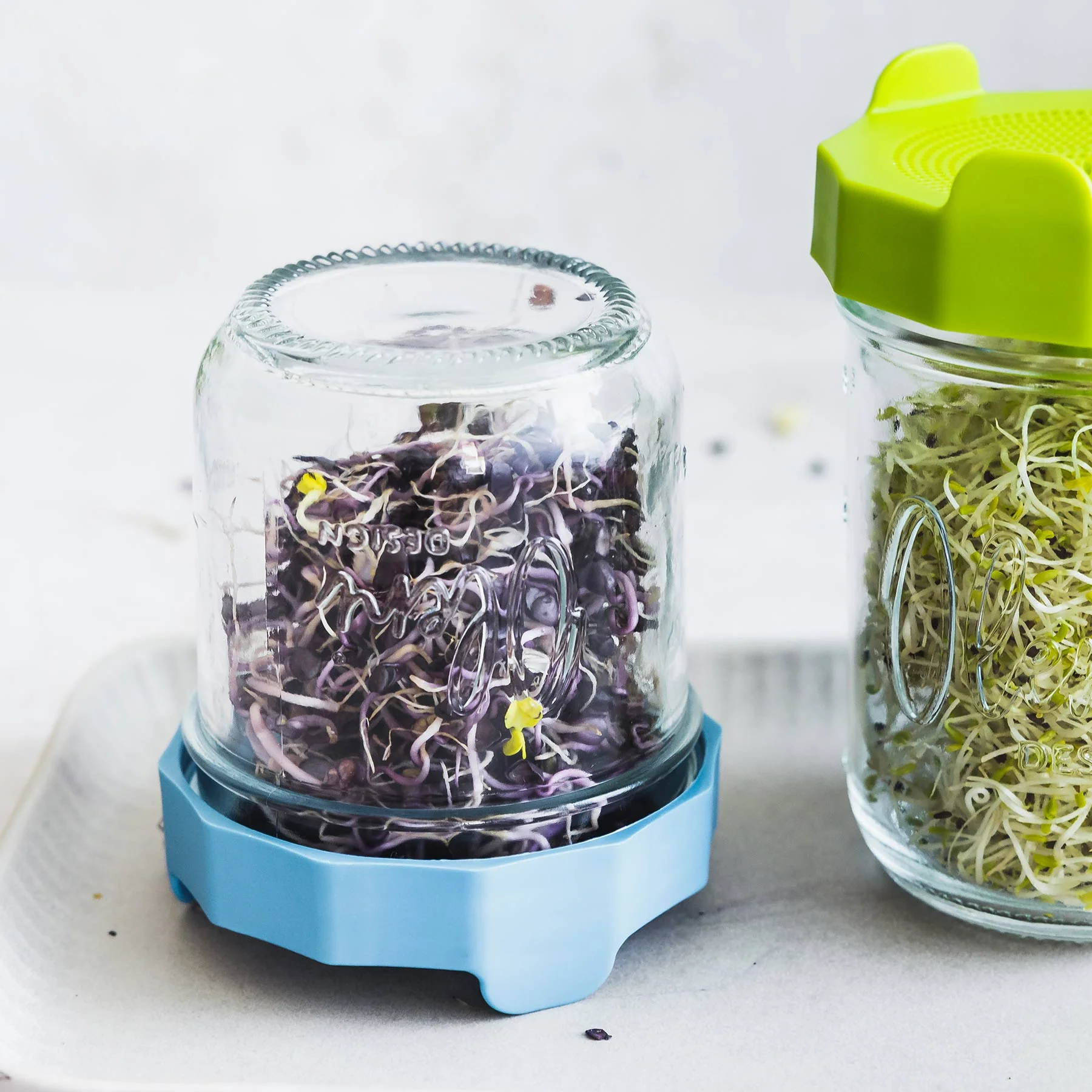 Oleni Mason Jar | Wide | 0.3 L - Image 9