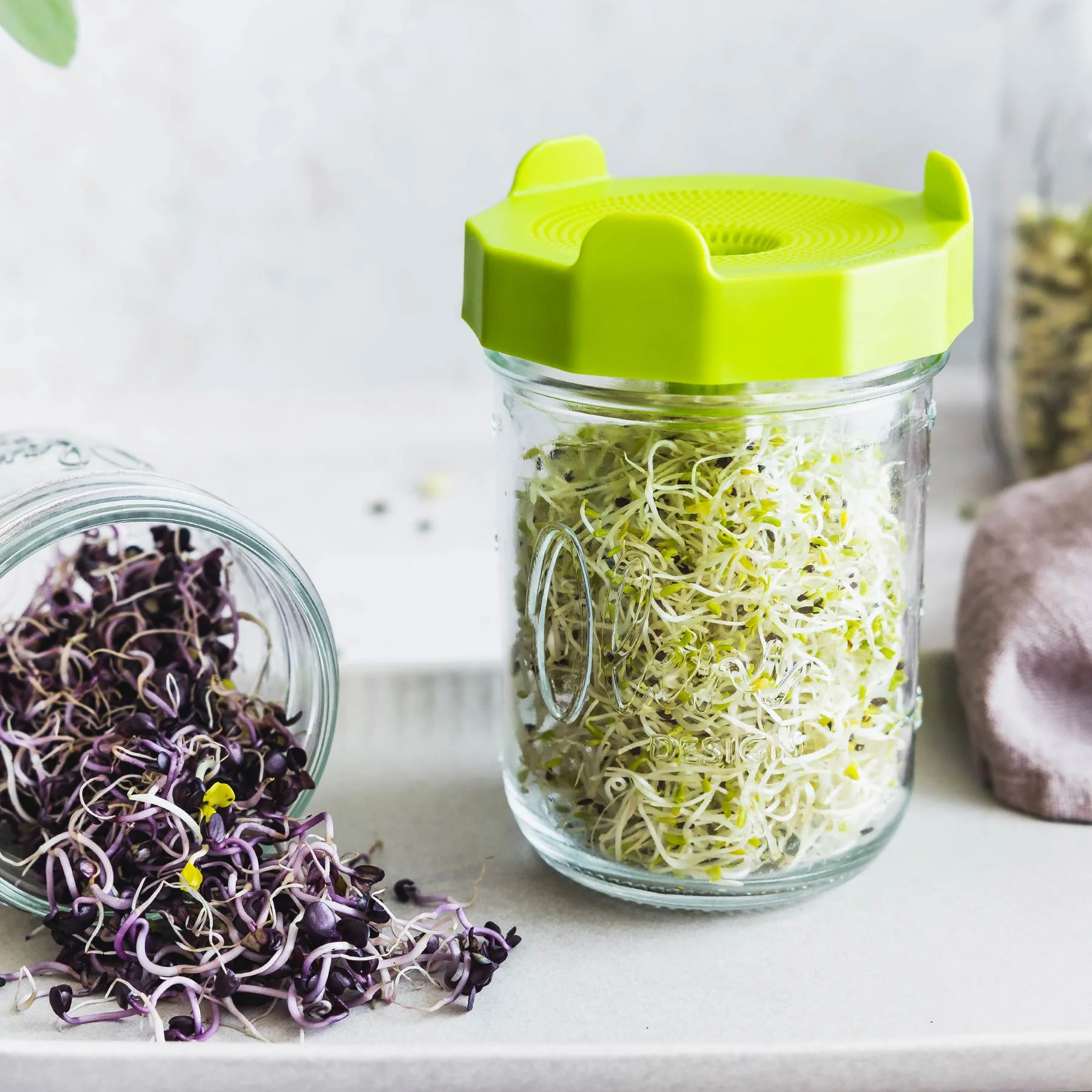 Oleni Mason Jar | Wide | 0.5 L - Image 10